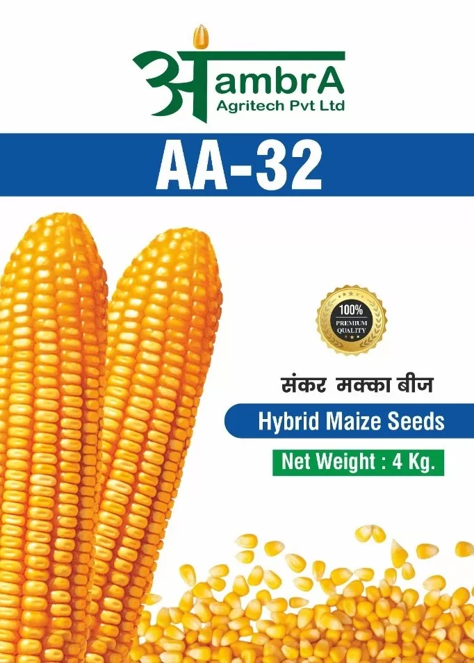 AA 32