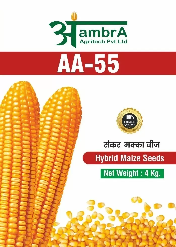 AA 55