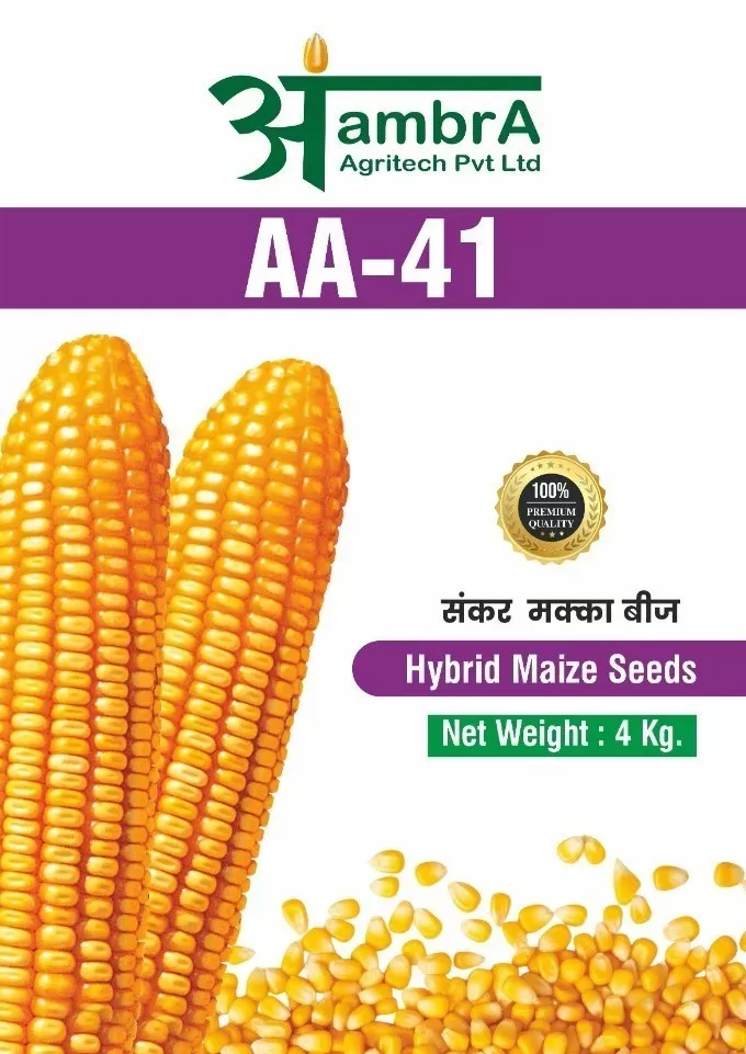 AA 41
