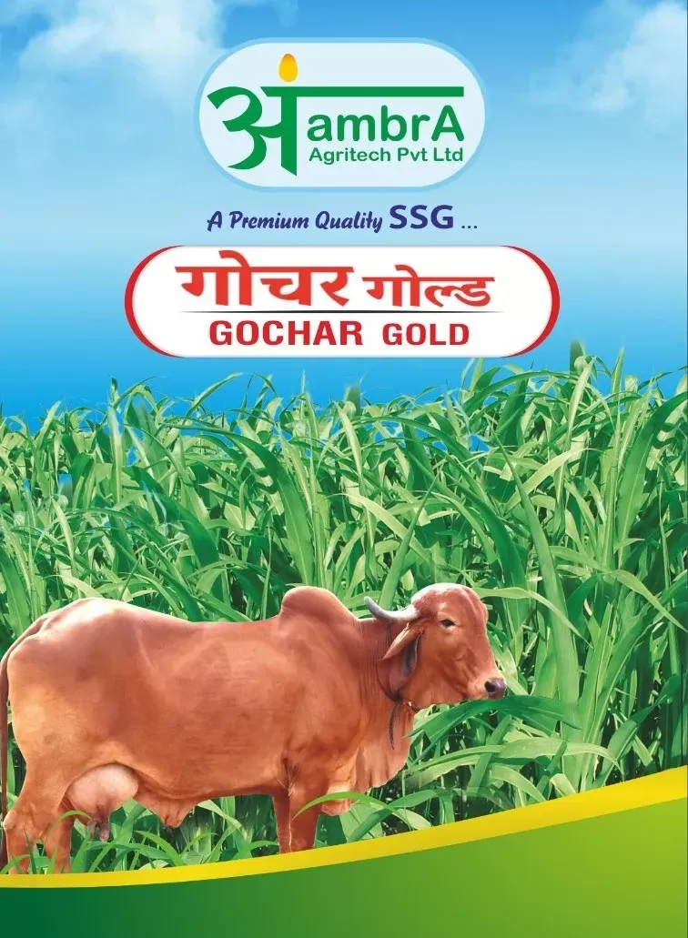 Gochar Gold