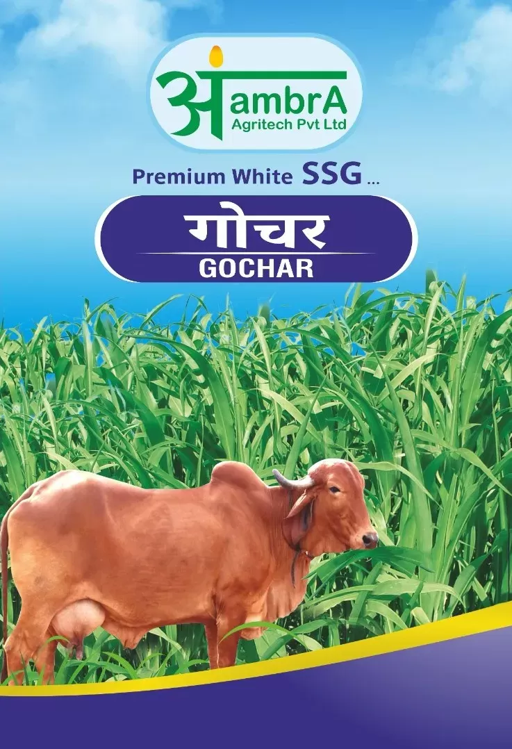 Gochar