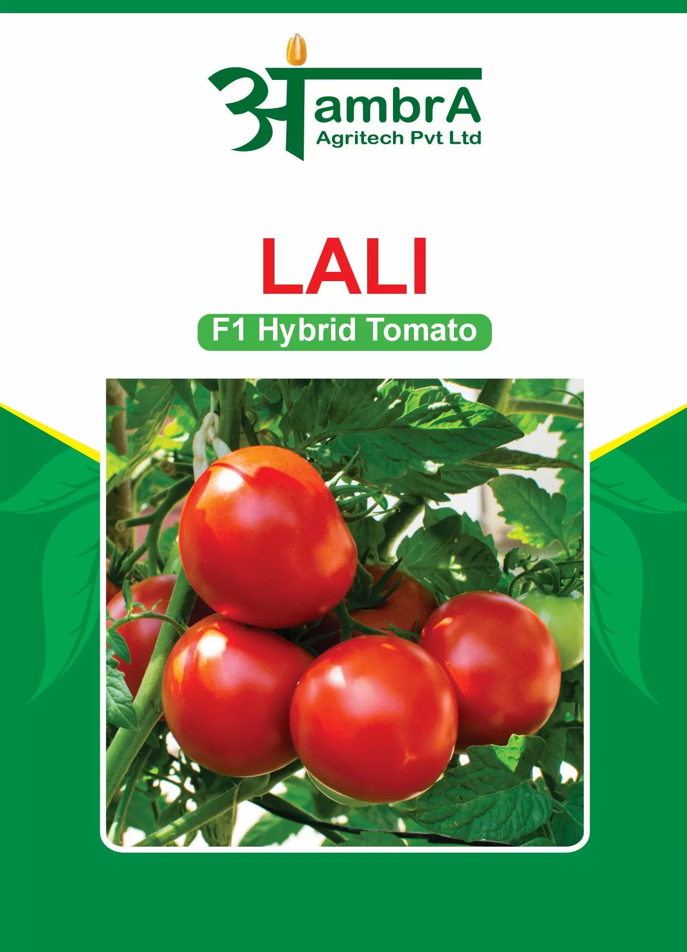 Lali F1 Tomato