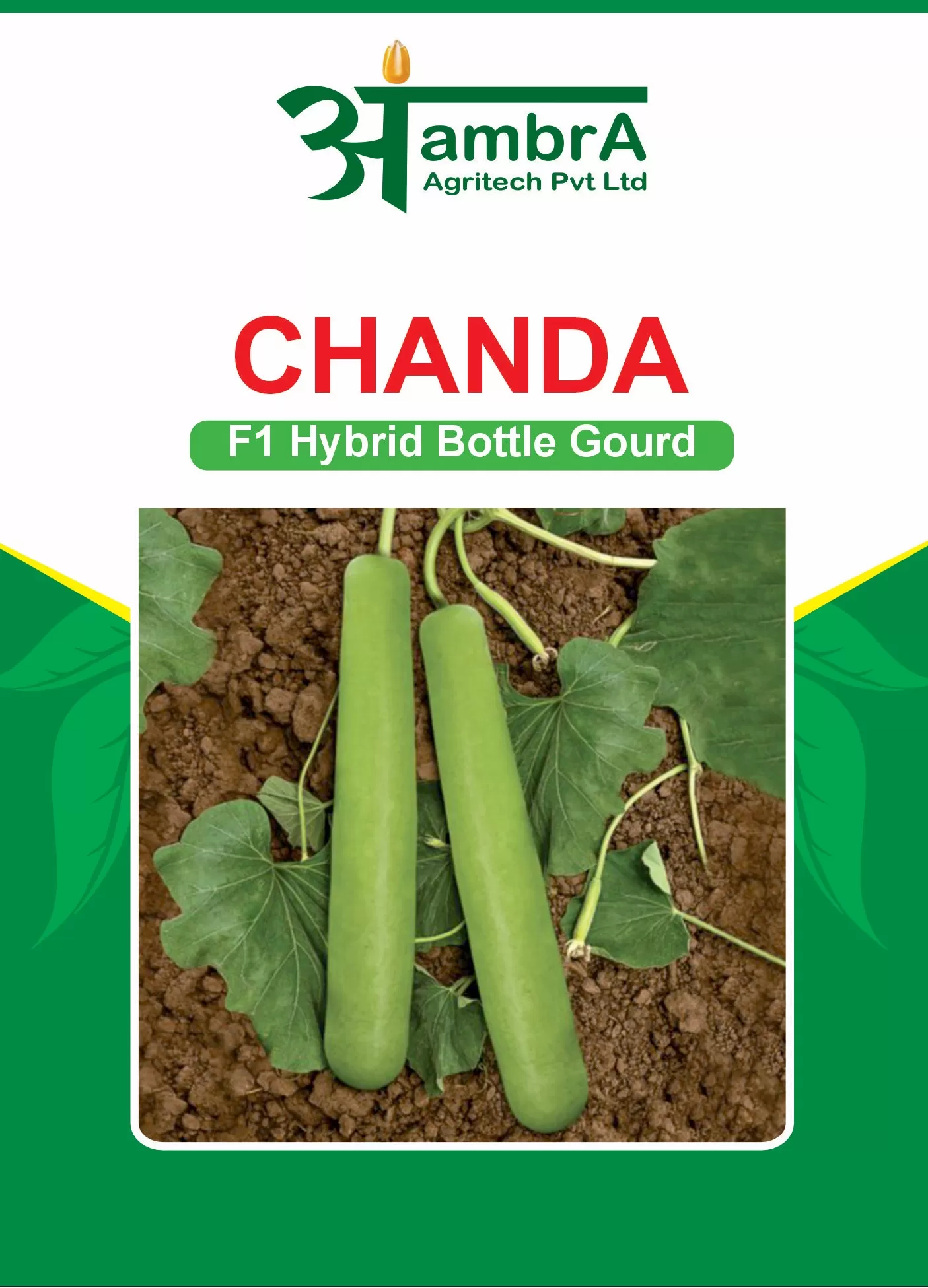 Chandra - F1 Bottle Gourd