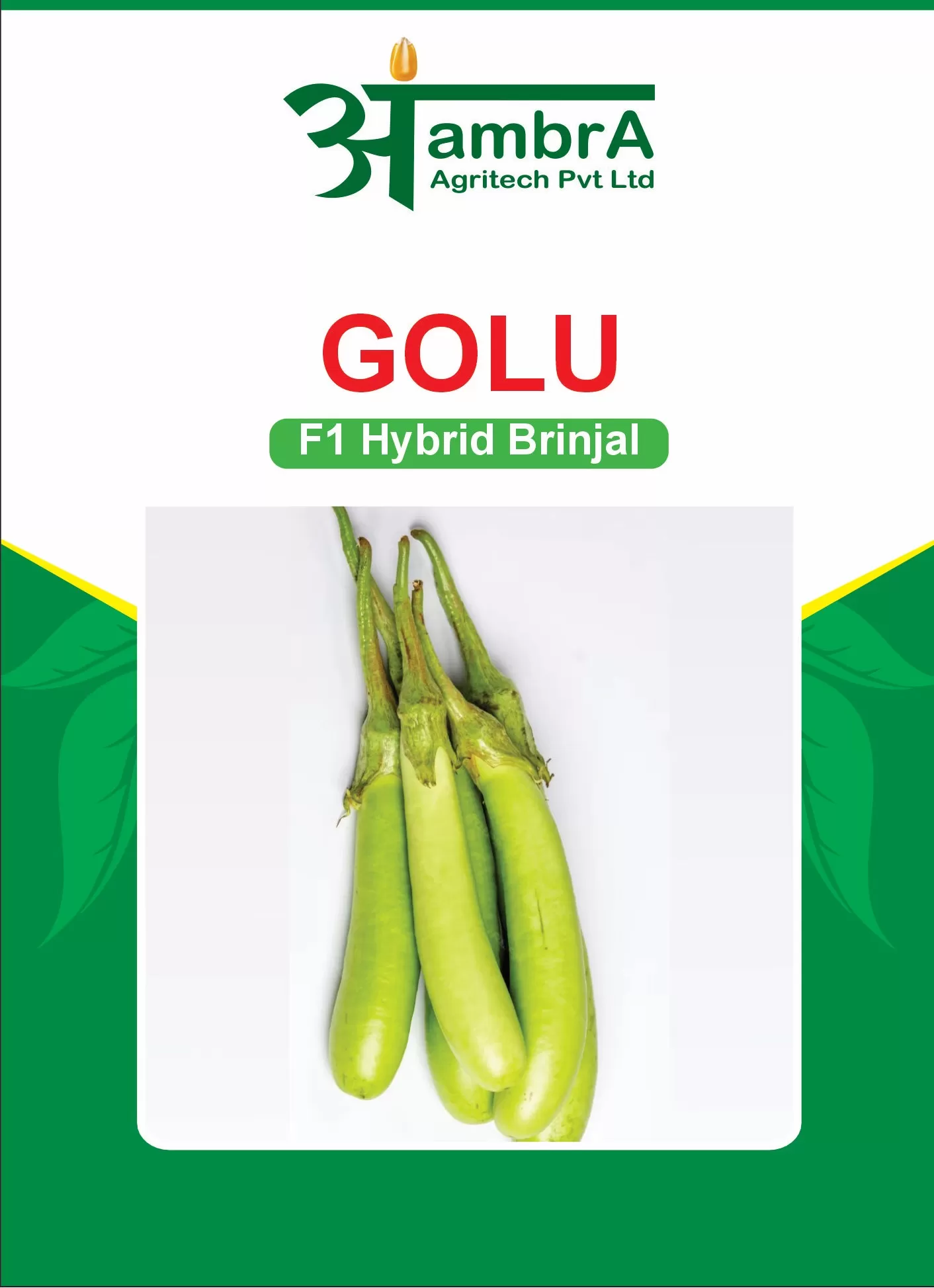 Golu - F1 Brinjal